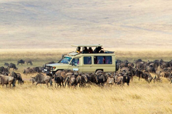 Serengeti 7 Days Safari