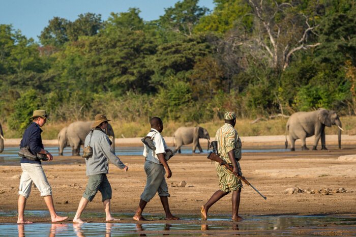Walking Safari in Tanzanian National Parks